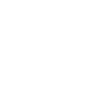 Logo White